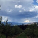 From Portland: Mt Hood, Hood River Valley and Columbia Gorge - The Experience and Its Strengths