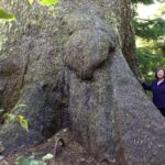 From Portland: Oregon Coast Day Trip to Three Capes Loop - What’s Included and What’s Not