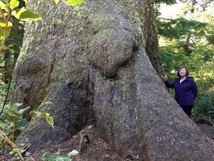 From Portland: Oregon Coast Day Trip to Three Capes Loop - What’s Included and What’s Not