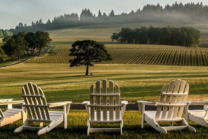 From Portland Private Willamette Valley Wine Tour - The Value of This Tour