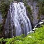 From Portland to Mt. Rainier Tour in a Small Group - Practical Tips for the Day