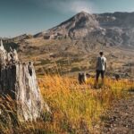 From Portland to Mt. Saint Helen Tour in a Small Group - Is the Price Worth It?