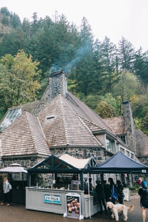 From Portland: Waterfalls, Mt Hood, and Wine Day Tour - Who Should Consider This Tour?