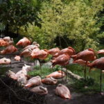 From Puebla: Africam Safari Private Tour all included - Analyzing the Price and Value