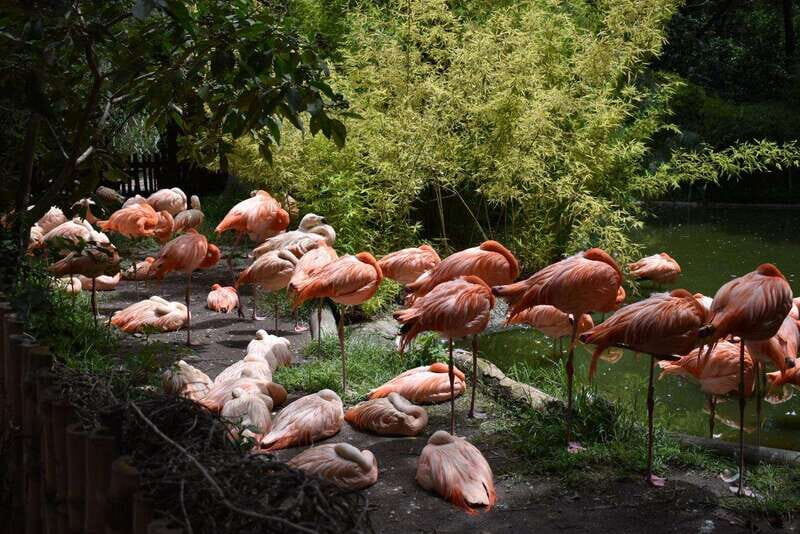 From Puebla: Africam Safari Private Tour all included - Analyzing the Price and Value