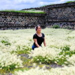 From Puebla: TEOTIHUACAN PRIVATE TOUR - Crafts Workshop Stop