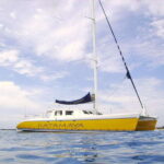 From Puerto Aventuras: Share Catamaran Tour - Practical Details and What’s Included