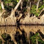 From Puerto Escondido: Birdwatching on a Boat - Assessing the Value and Suitability