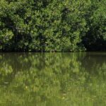 From Puerto Escondido: Day Trip to Chacahua National Park - The Experience: What to Expect on the Day Trip