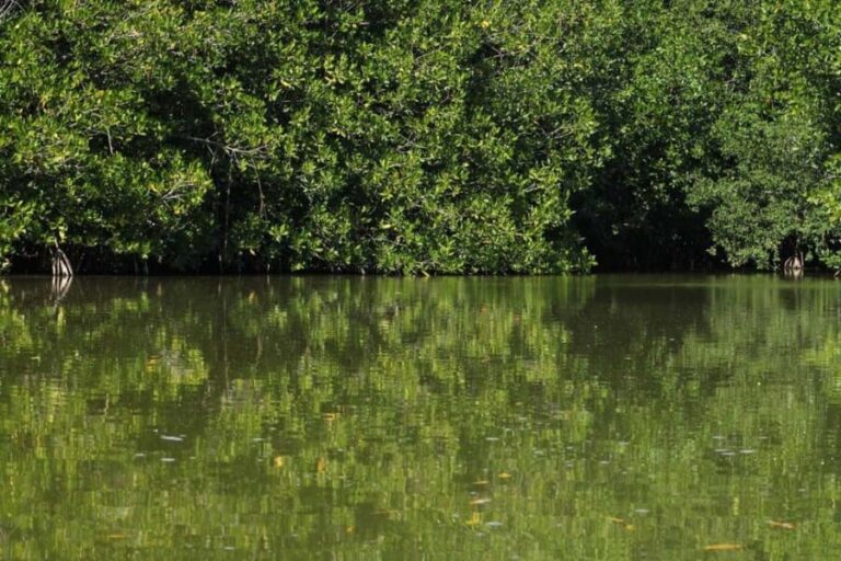 From Puerto Escondido: Day Trip to Chacahua National Park - The Experience: What to Expect on the Day Trip