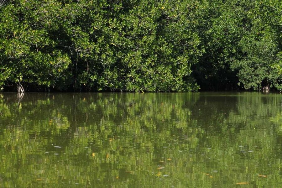 From Puerto Escondido: Day Trip to Chacahua National Park - The Experience: What to Expect on the Day Trip