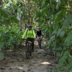 From Puerto Vallarta: Jungle Mountain Bike Tour - Final Thoughts