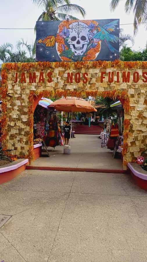 From Puerto Vallarta: San Pancho and Sayulita Cultural Tour - What’s Included and What’s Not