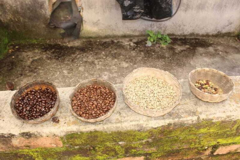 From Puerto Vallarta: San Sebastian del Oeste with Lunch - Transportation and Group Dynamics