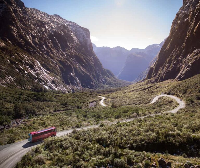 From Queenstown: Milford Sound Discover More Longest Cruise - Practical Details: Transport, Timing, and What to Pack