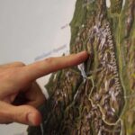 From Queenstown: Milford Sound Flight and Nature Cruise - The Milford Sound Boat Cruise: An Intimate Nature Encounter