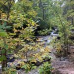 From Rapid City: Private Spearfish Canyon Tour - A Deep Dive into the Spearfish Canyon Experience