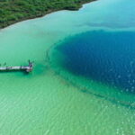 From Riviera : Kaan Luum with Cenotes & Lunch ECO - What the Reviews Say