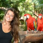 From Riviera Maya: Complete Combo to Xcaret Park! - What to Expect: Activities and Attractions