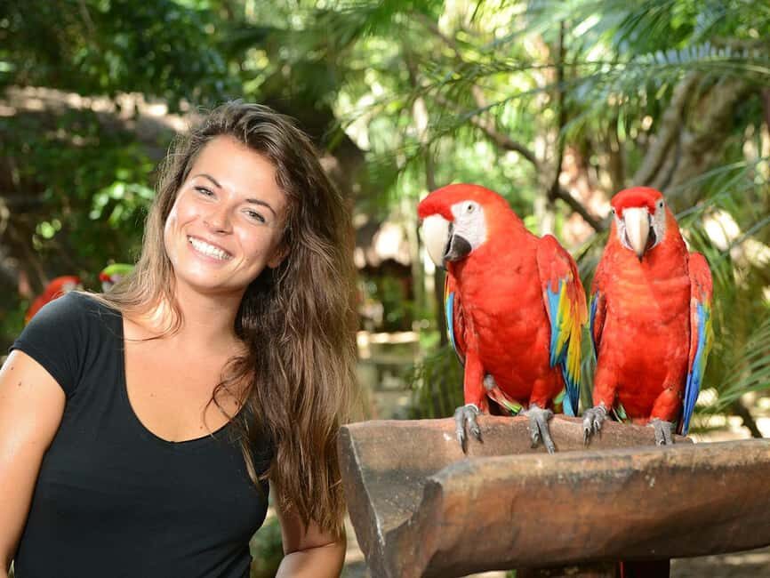 From Riviera Maya: Complete Combo to Xcaret Park! - What to Expect: Activities and Attractions