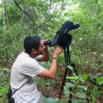 From Riviera Maya : Sian Ka'an Muyil Birdwatching with Guide - Price and Value