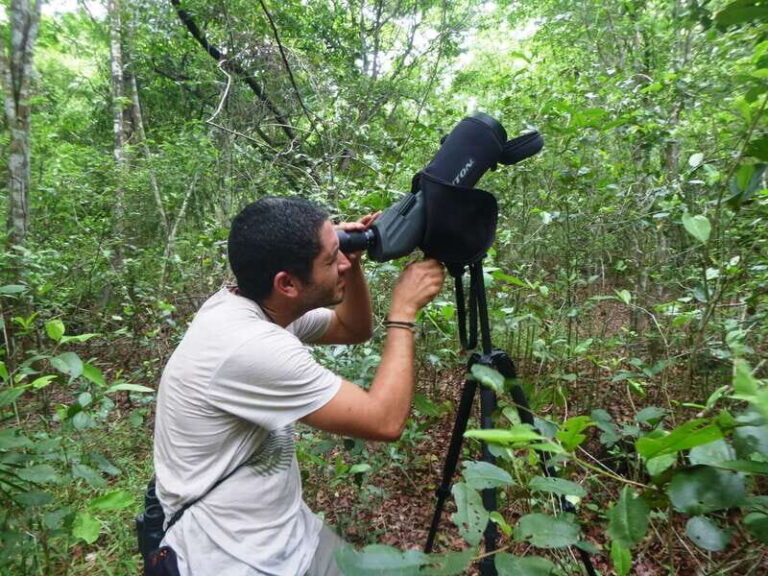 From Riviera Maya : Sian Ka'an Muyil Birdwatching with Guide - Price and Value