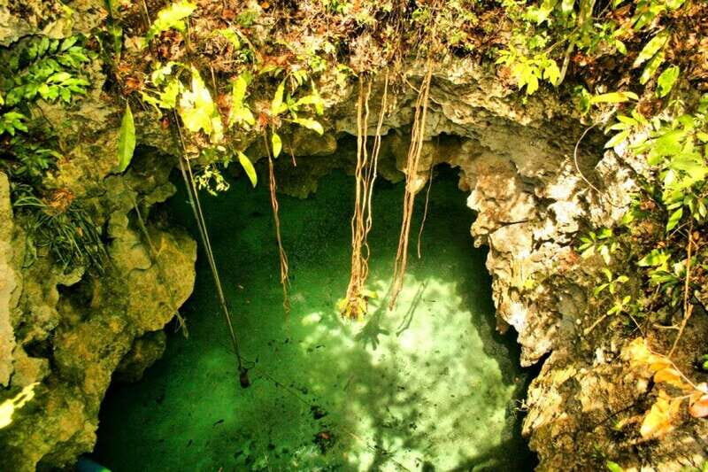 From Riviera Maya: Snorkeling & Private Cenote Half-Day Tour - The Experience in Detail