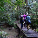 From San Cristóbal: Lacandona Jungle 3 Days Tour - Practical Details & What They Mean for You