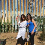 From San Diego: Private Puerto Nuevo Tour with Lobster Lunch - What Makes This Tour Stand Out?