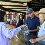 From San Diego: Valle de Guadalupe Private Wine Tasting Tour - What’s Worth Noting