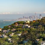 From San Francisco: Muir Woods and Sausalito Half-Day Trip - How Good Is the Value?