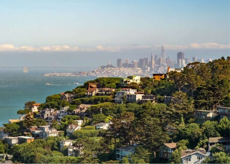 From San Francisco: Muir Woods and Sausalito Half-Day Trip - How Good Is the Value?