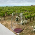 From San Francisco: Napa & Sonoma Valley Wine Tour with Tastings - Who Would Love This Tour?