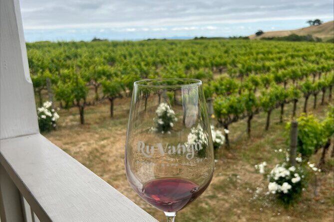 From San Francisco: Napa & Sonoma Valley Wine Tour with Tastings - Who Would Love This Tour?