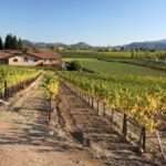 From San Francisco: Napa Valley Private Tour - The Detailed Breakdown: What to Expect