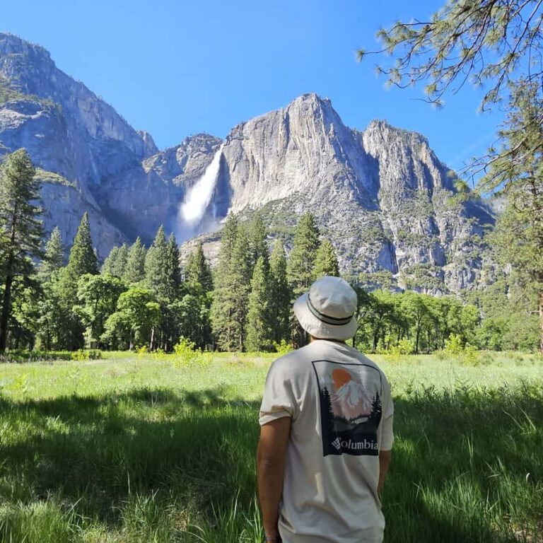 From San Francisco: Yosemite National Park Guided Day Trip - Key Points