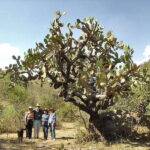 From San Miguel de Allende: Hiking in the Canyon with Lunch - What’s Included & What’s Not