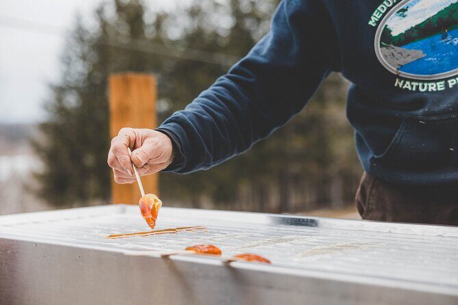 From Sap to Syrup: A Tasty Guided Maple Production Tour - An In-Depth Look at the Tour Experience
