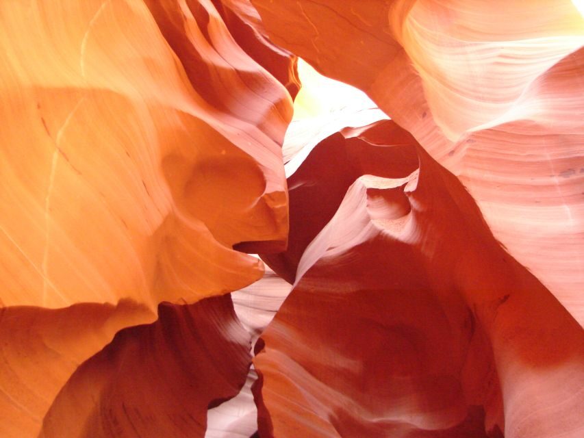 From Scottsdale: Antelope Canyon & Horseshoe Bend Day Tour - What Makes This Tour Stand Out?