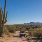 From Scottsdale: Sonoran Desert & Tonto National Forest Trip - Is It Worth the Price?