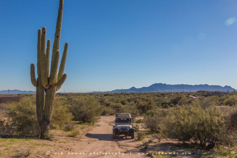 From Scottsdale: Sonoran Desert & Tonto National Forest Trip - Is It Worth the Price?