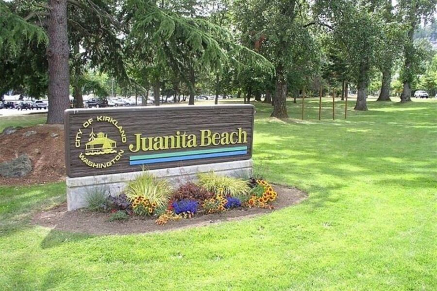 From Seattle: 5-hour Seattle and Suburbs Attractions Tour - What’s Included and What to Consider