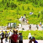 From Seattle: Customized Mount Rainier Tour - What’s Included and What’s Not