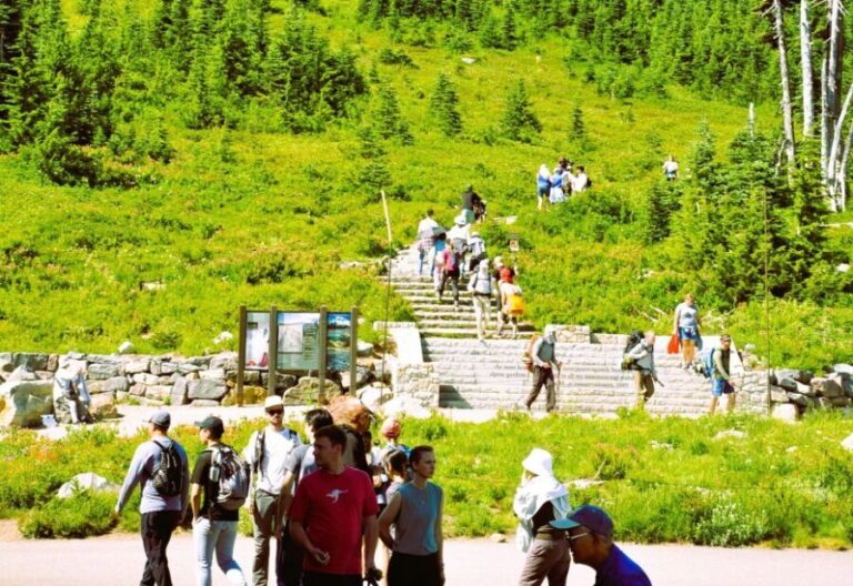 From Seattle: Customized Mount Rainier Tour - What’s Included and What’s Not