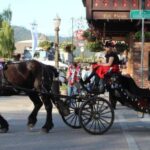 From Seattle: Day Trip Through The Cascades to Leavenworth - The Forest Walk and Snowshoeing