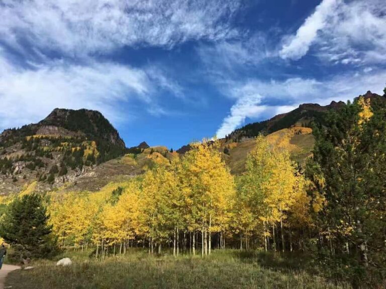 From Seattle: Mount Rainier Guided Day Tour - Final Thoughts