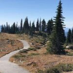 From Seattle: Mount Rainier National Park 1-Day Tour - Exploring Mount Rainier’s Highlights