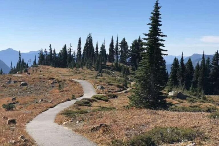 From Seattle: Mount Rainier National Park 1-Day Tour - Exploring Mount Rainier’s Highlights