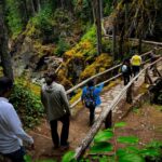 From Seattle: Mount Rainier National Park Guided Tour - The Value for Your Money