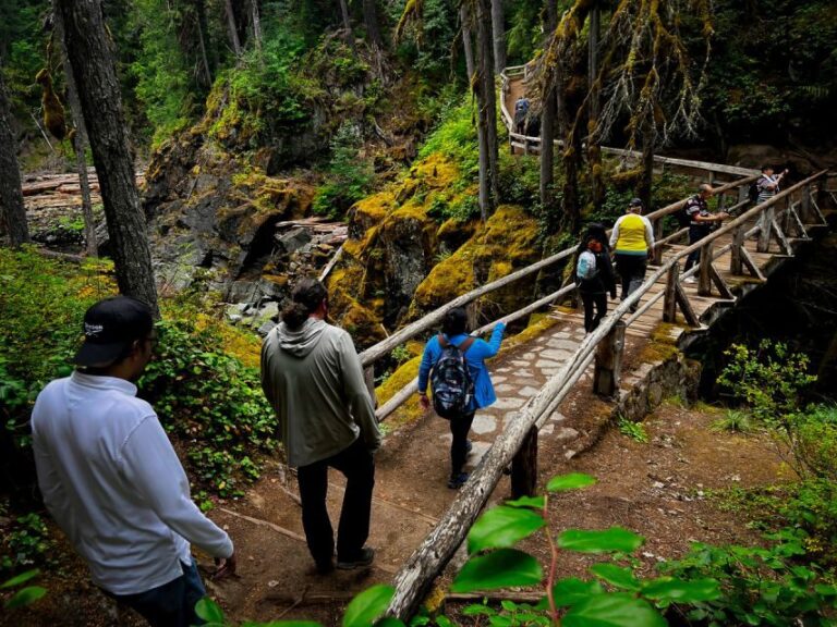 From Seattle: Mount Rainier National Park Guided Tour - The Value for Your Money